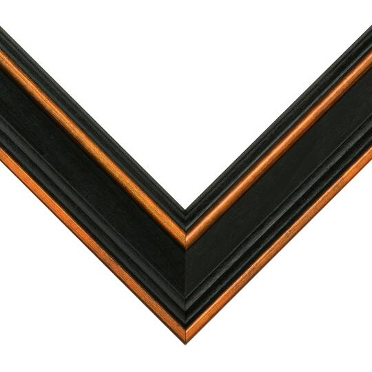 Frame USA Olympic Brown Single Image Picture Frame